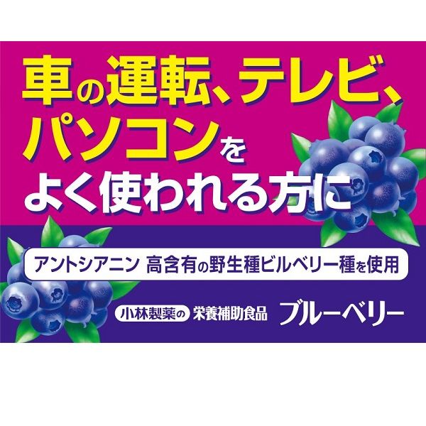 小林製薬の栄養補助食品 ブルーベリー 約30日分 30粒