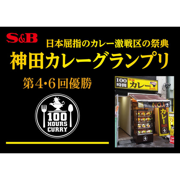 エスビー食品 神田カレーグランプリ 100時間カレーB＆R 欧風ビーフ