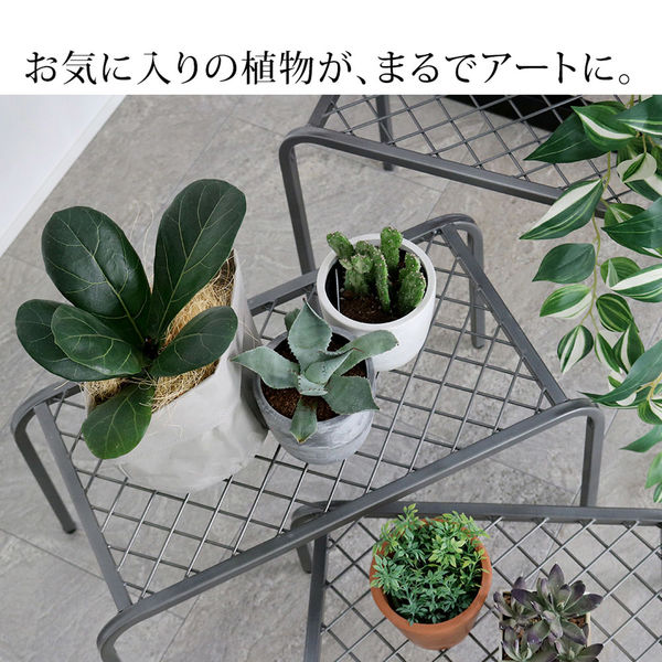 フラワースタンド DAIM ブラックベース 24cm 10個セット カーメン君コラボ