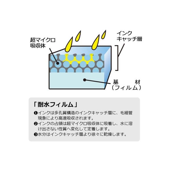 プラス 耐水光沢フィルムラベル IT-341RF A3 10枚　1冊（直送品）