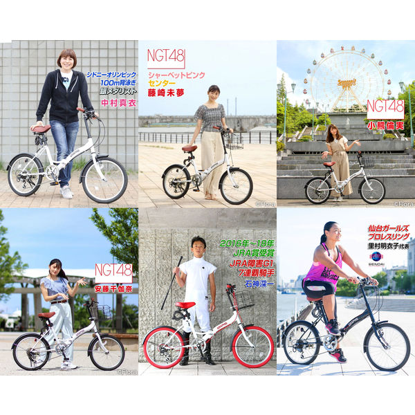 送料無料 GRAPHIS (グラフィス) 20インチ 折りたたみ自転車