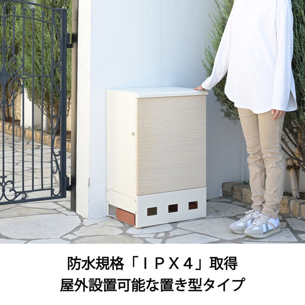 【送料込】美品　ヤマキ　バッファローヘッド　整備済み　ケース付 モォー?じゃないよBuff！って感じ | イシバシ楽器スタッフブログ