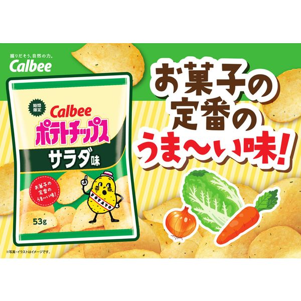 ポテトチップス 食べきりサイズ ポテトチップス サラダ味 53g 1セット