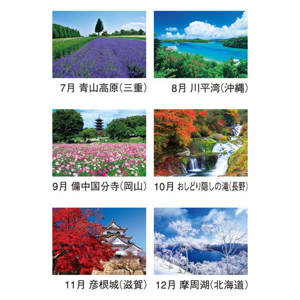 新日本カレンダー 【2026年版】壁掛カレンダー 四季の日本 46/4切 日曜
