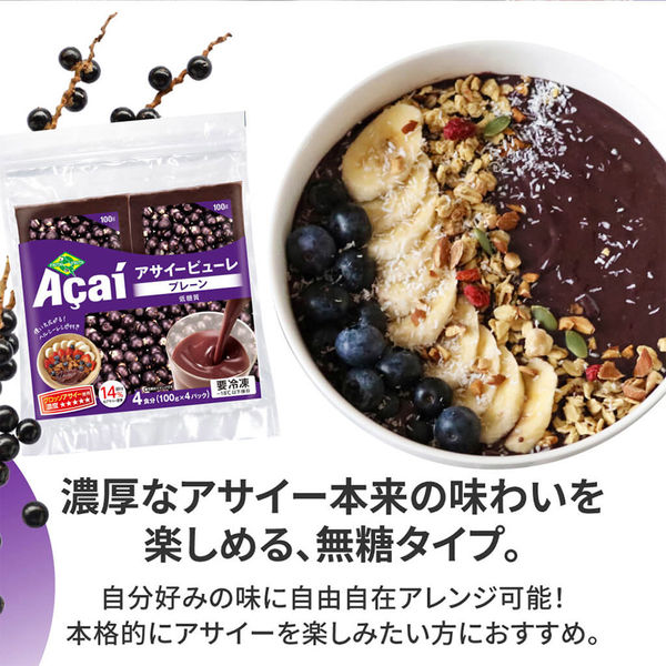 冷凍] アサイーピューレ プレーン (100g×4袋) 400g×10個