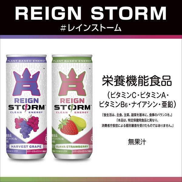 アサヒ飲料 レインストーム ハーベストグレープ 250ml 1セット（60缶