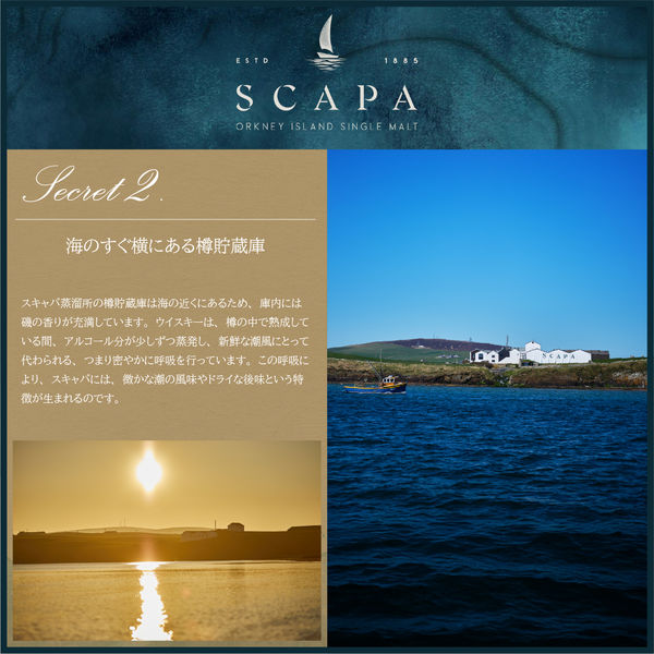 スキャパ10年 シングルモルト 48度 700ml 1本 アイランズ スコッチ