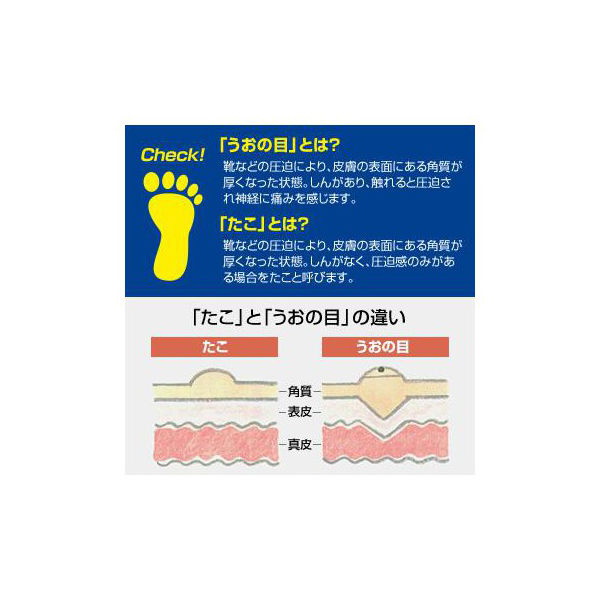 ショールズウェルネスカンパニー ドクター・ショール 底まめ