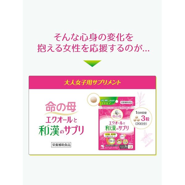 命の母 エクオールと和漢のサプリ エクオール 高麗人参 ケイヒ 生姜 60粒×2袋 約40日分 小林製薬 サプリメント