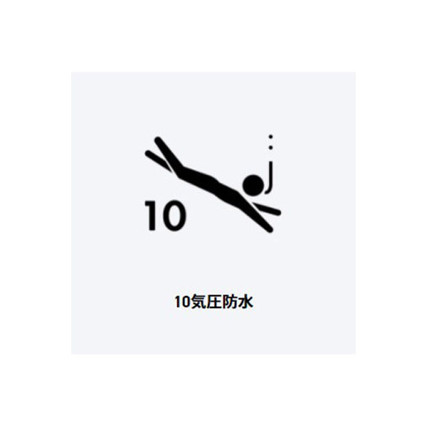 カシオコレクション】CASIO STW-1000-2JH 1本（直送品） - アスクル