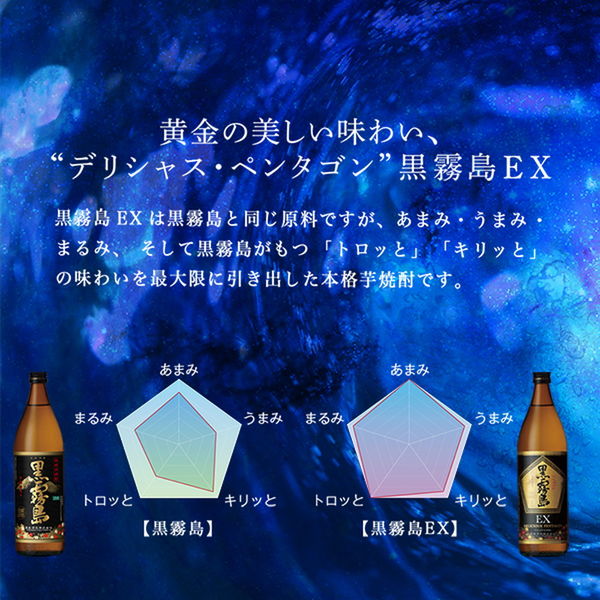 霧島酒造 本格焼酎 黒霧島EX 25度 1800ml 紙パック 1セット（2本 