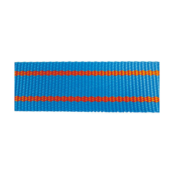 テザック ブルースリング50ミリ×3M 3E50X3 1本（直送品） - アスクル