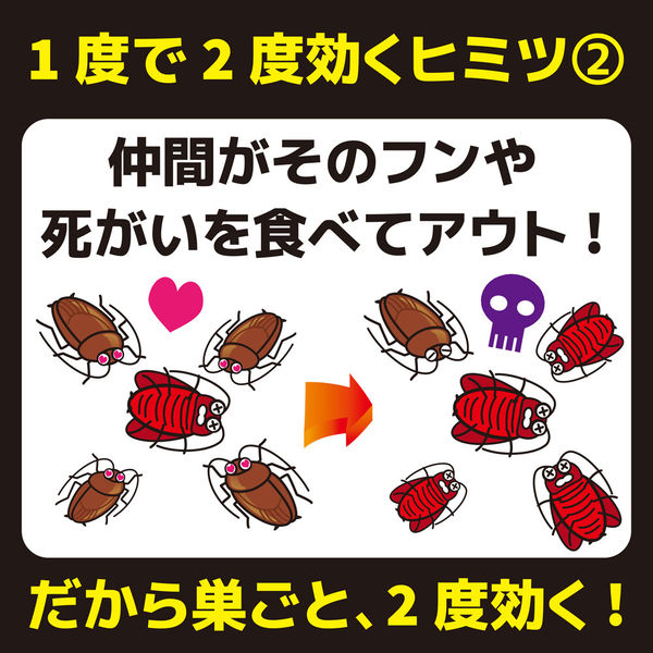 コンバット 玄関 ベランダ用 1年用 1箱（6個) ゴキブリ 殺虫剤 駆除 置き型 大日本除虫菊 キンチョー キンチョウ