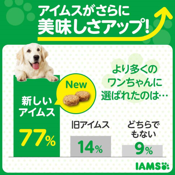 アイムス 成犬用 健康維持 チキン 小粒 12kg ドッグフード ドライ