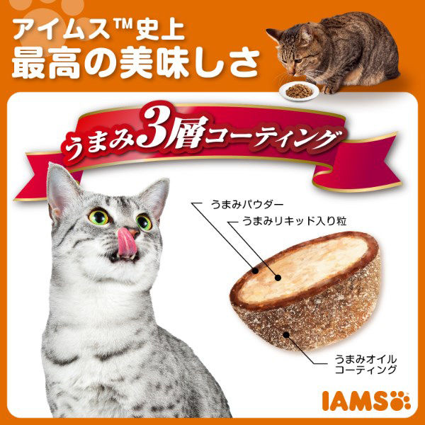 アイムス キャットフード 11歳以上用 毎日の健康サポート チキン 1.5kg（375g×小分け4袋）6袋 マース - アスクル