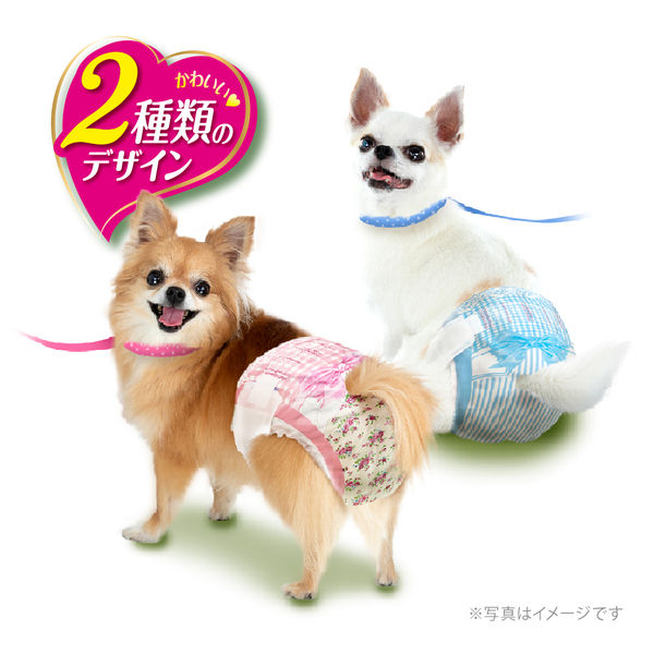 【SALE100%新品】マナーウェア 女の子用 超小型犬用 SSSサイズ 42枚入×6袋 ペットフード