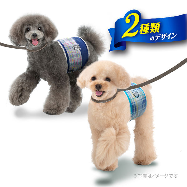 マナーウェア 男の子用 SSサイズ 超小～小型犬用 48枚 8袋