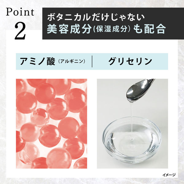 ラックス(LUX) プレミアム ボタニフィーク ボタニカル ダメージリペア ノンシリコンシャンプー 詰め替え 350g - アスクル