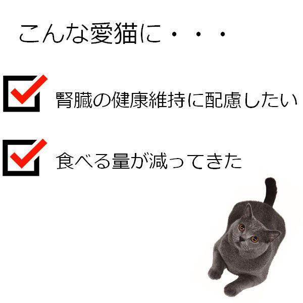 JPスタイル 和の究み キャットフード セレクトヘルスケア 腎臓ガード チキン味 国産 1.4kg（200g×7パック）1袋 ペットライン