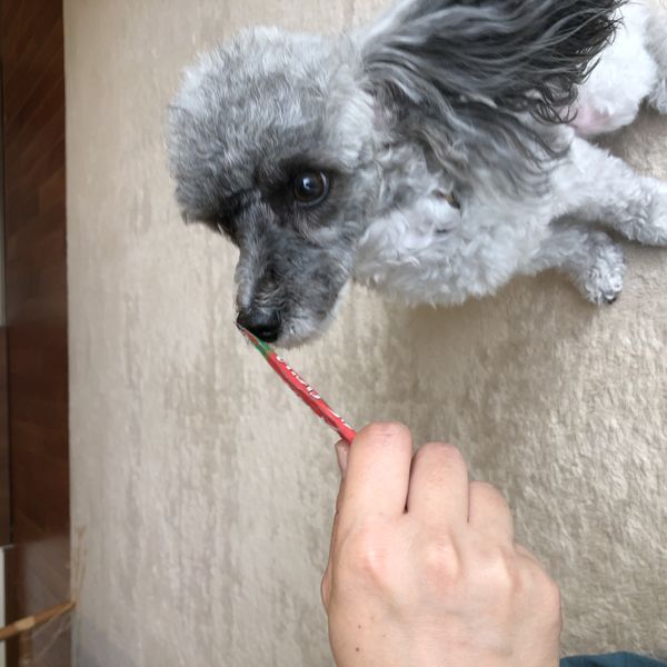 いなば ちゅーる 犬 とりささみ ビーフミックス味 総合栄養食 国産