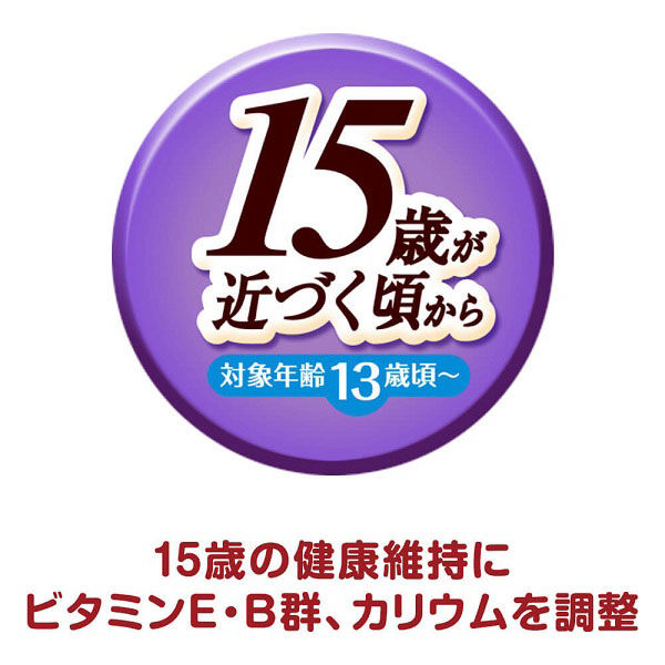 銀のスプーン 三ツ星グルメ ポタージュ 15歳 まぐろ 35g 32袋