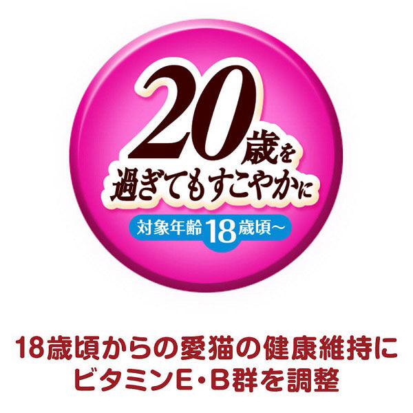 銀のスプーン 三ツ星グルメ 20歳を過ぎてもすこやかに まぐろ