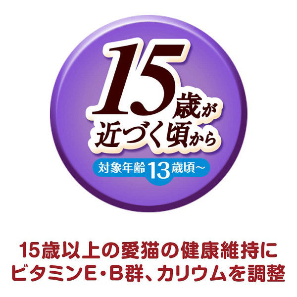 銀のスプーン 三ツ星グルメ ジュレ 15歳頃から まぐろ・かつおにささみ
