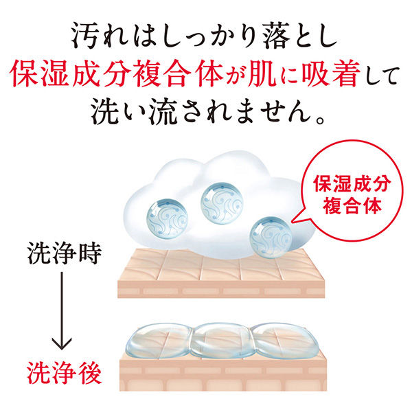 ハダカラ（hadakara）ボディソープ 泡タイプ クリーミーソープの香り詰め替え 440ml 2個 ライオン - アスクル