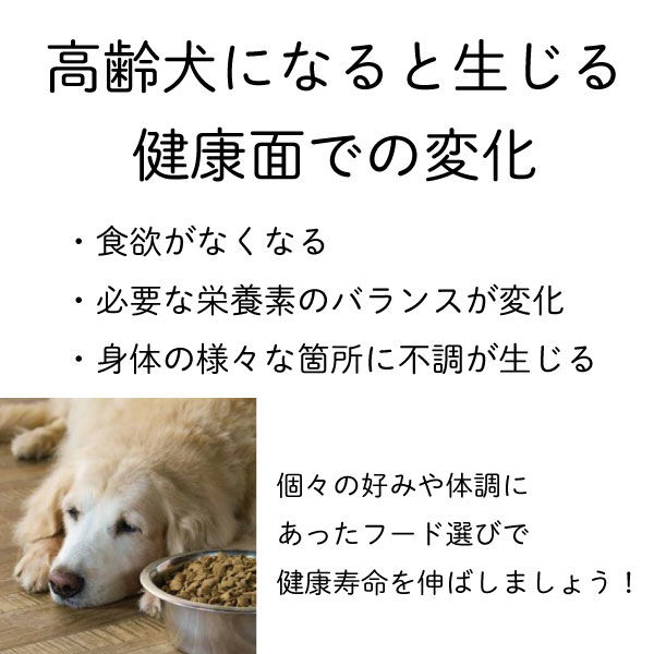 コンボ プレゼント ドッグフード シニア犬の健康維持 チキン味 36g（12 