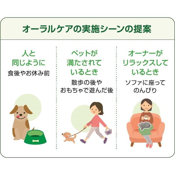 ペットキッス 食後の歯みがきガム 中大型犬用 国産 12本 ドッグフード おやつ デンタルケア アスクル