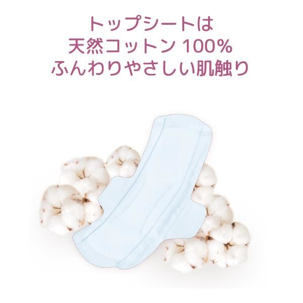 生理用品】 ナプキン ふつうの日用 羽なし 21cm ナチュラムーン