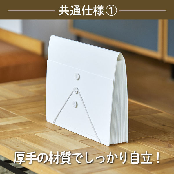 ふぁむふぁいページ キングジム サクッと整理！ドキュメントファイル（フタ付