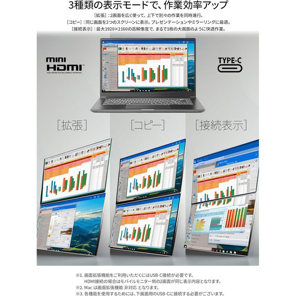 JAPANNEXT 18.5インチ デュアルモバイルディスプレイ JN-DMD-IPS185F 1