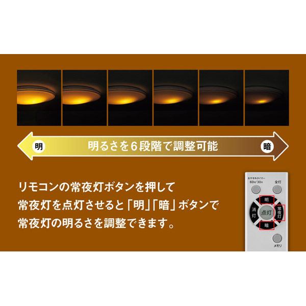 東芝 スピーカー付シーリングライト NLEH06018E-SDLD 1台（直送