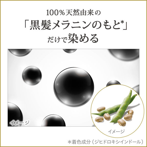 リライズ 白髪用髪色サーバー リ・ブラック まとまり仕上げ 付け替え