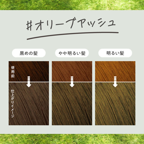 liese（リーゼ） 泡カラー オリーブアッシュ 花王 - アスクル