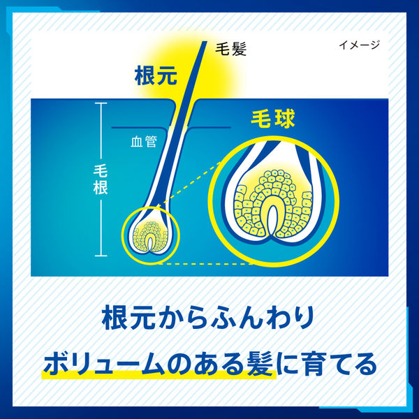 サクセス 薬用 育毛トニック ボリュームケア フルーティシトラス 180g 花王 - アスクル