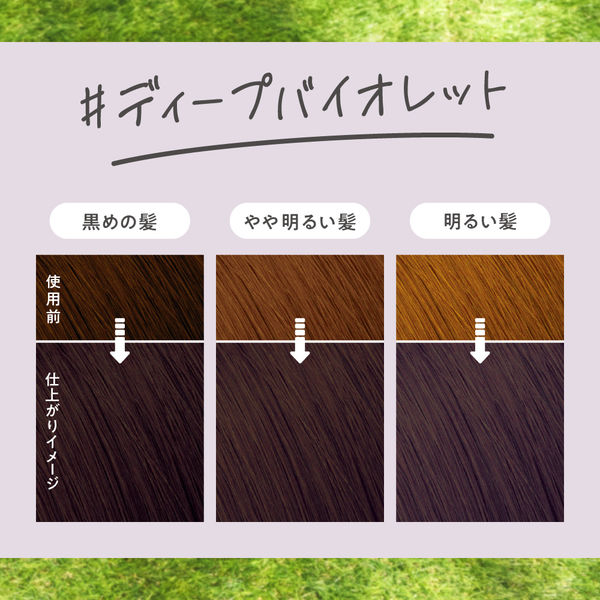 liese（リーゼ） 泡カラー ディープバイオレット 花王 - アスクル