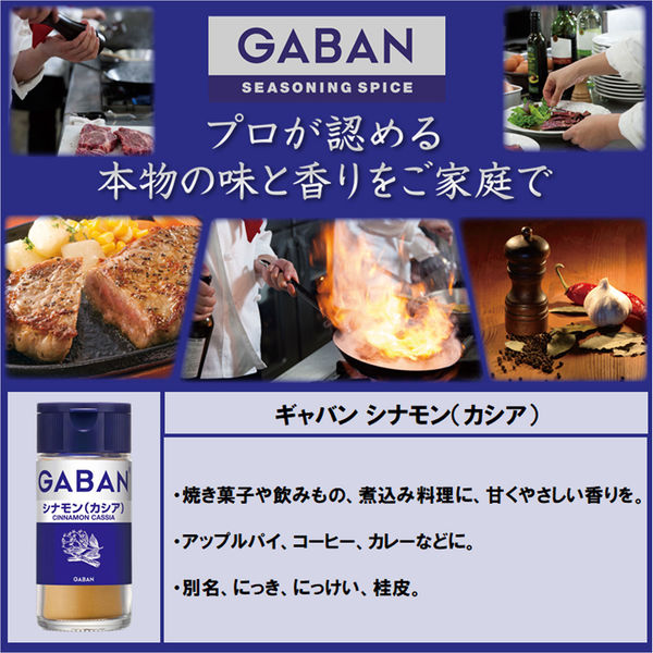 GABAN ギャバン１５ｇシナモン（カシア） 1セット（2個入） ハウス食品 アスクル