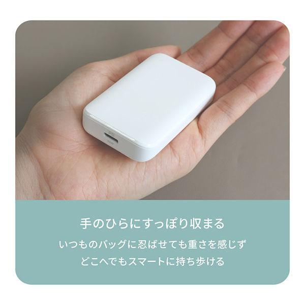 オウルテック 薄さ13mm PD36W GaN採用 USB Type-C×1 AC充電器 OEC