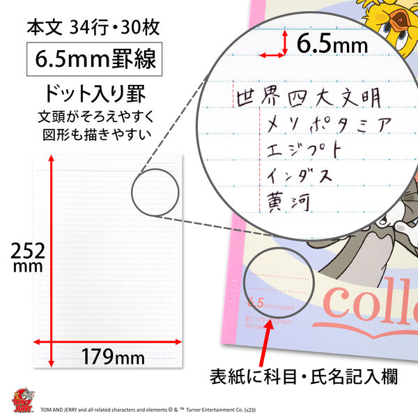 日本ノート ノート トムとジェリーフレンドシップ セミB5 6.5mm30枚 3