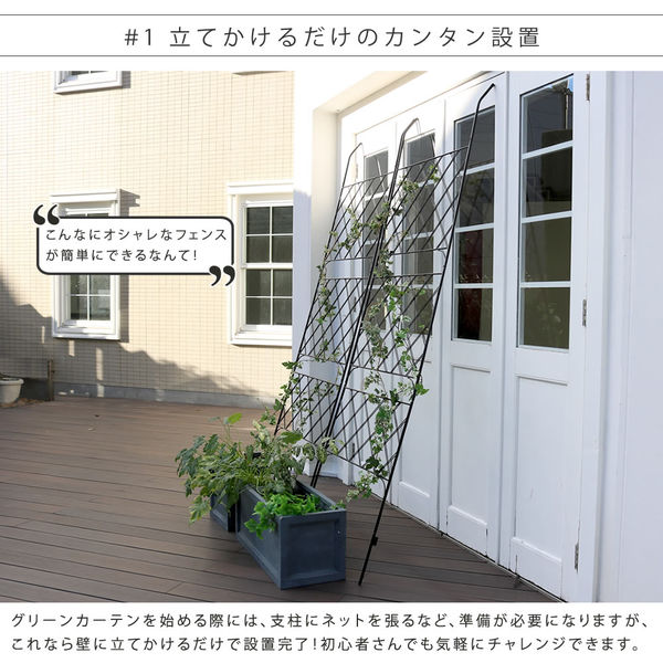 住まいスタイル アイアン製グリーンカーテン ”Argyle