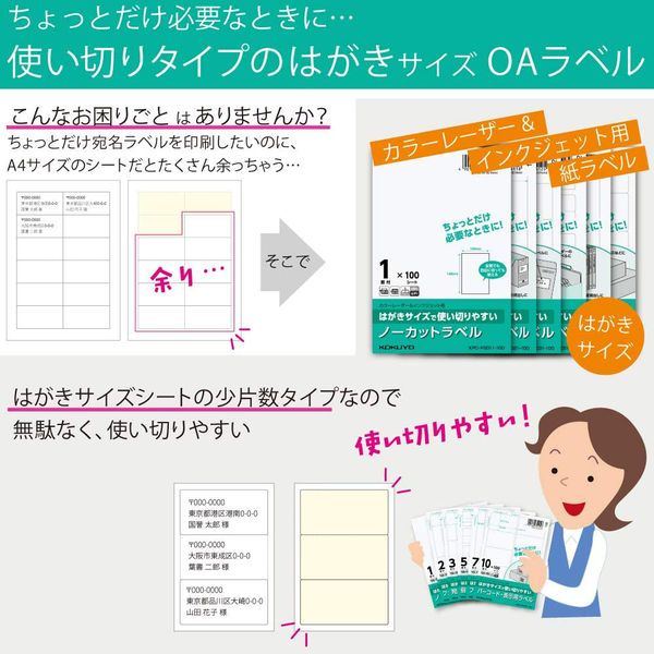 コクヨ はがきサイズで使い切りやすいラベル 個別フォルダー用 KPC-PS051-100 1袋（100シート入）