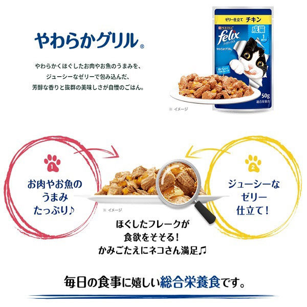 フィリックス 猫 やわらかグリル 子ねこ チキン 50g 48袋 ネスレ日本