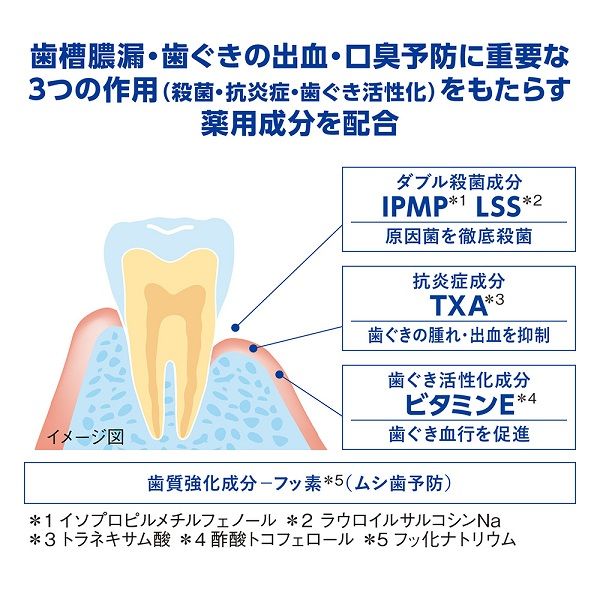 デントヘルス 薬用ハミガキDX 歯槽膿漏・虫歯予防 歯磨き粉 85g 1本 医薬部外品 ライオン - アスクル