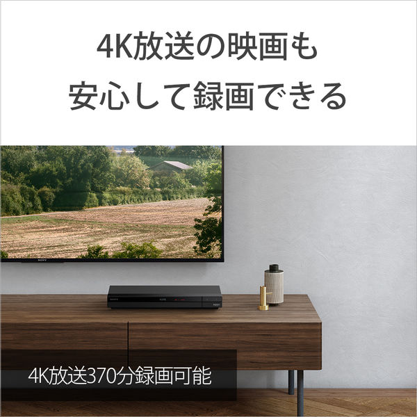 ソニー くり返し録画用BD-RE XL BNE3VEPJ2 1枚入 100GB インクジェット ...