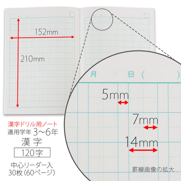 日本ノート カレッジアニマル学習帳 漢字ドリル用ノート セミB5 120字