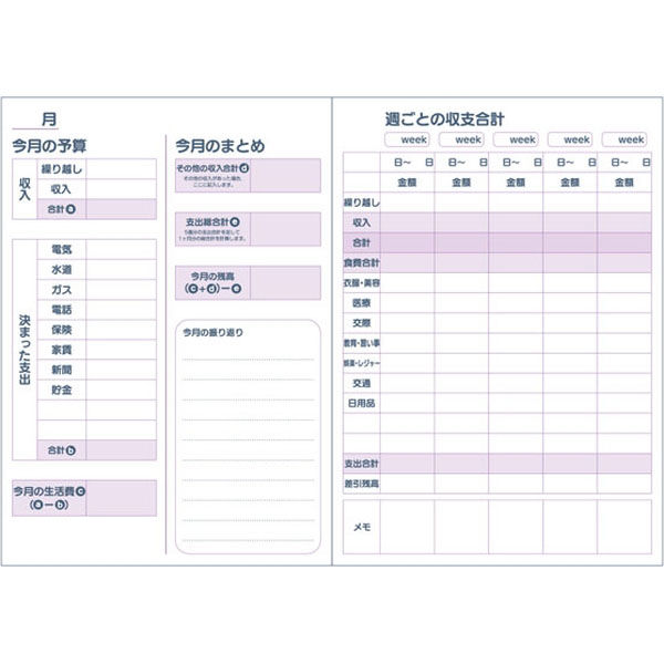 ダイゴー 大きくかける家計簿 Ａ５ ブルー J2159 3冊（直送品） - アスクル