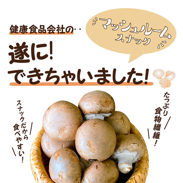 医食同源ドットコム マッシュルームスナック　トリュフ味 60g×96個 4562355175179（直送品） 医食同源ドットコム 満足感重視