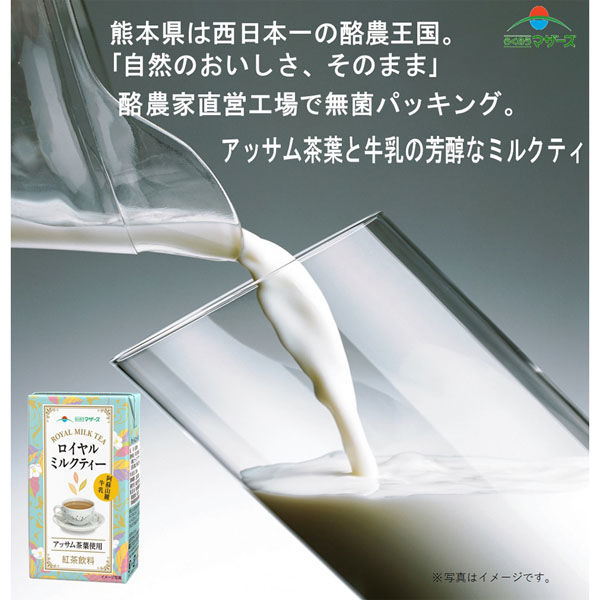 らくのうマザーズ ロイヤルミルクティ 250ml×12本 4908839185584（直送
